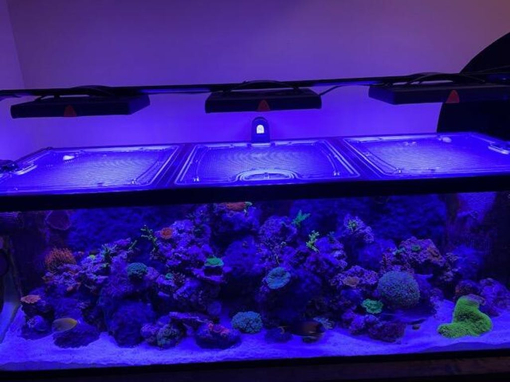 Aqueon 180 Gallon Megaflow 72x24x28 Custom Polycarbonate Aquarium Screen Top Lid