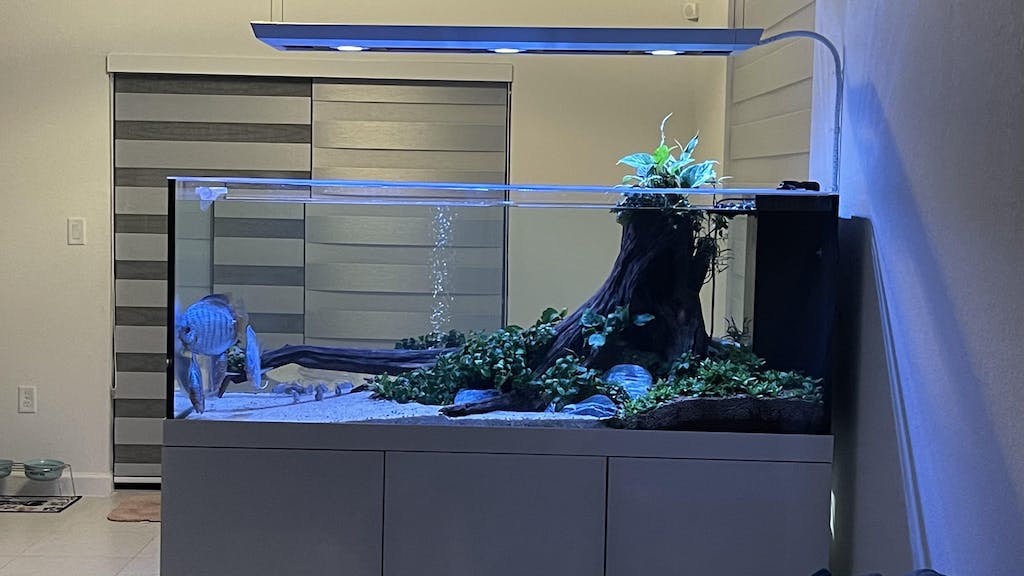 Pro Clear ProStar 200 Peninsula Overflow Custom Polycarbonate Aquarium Screen Top Lid