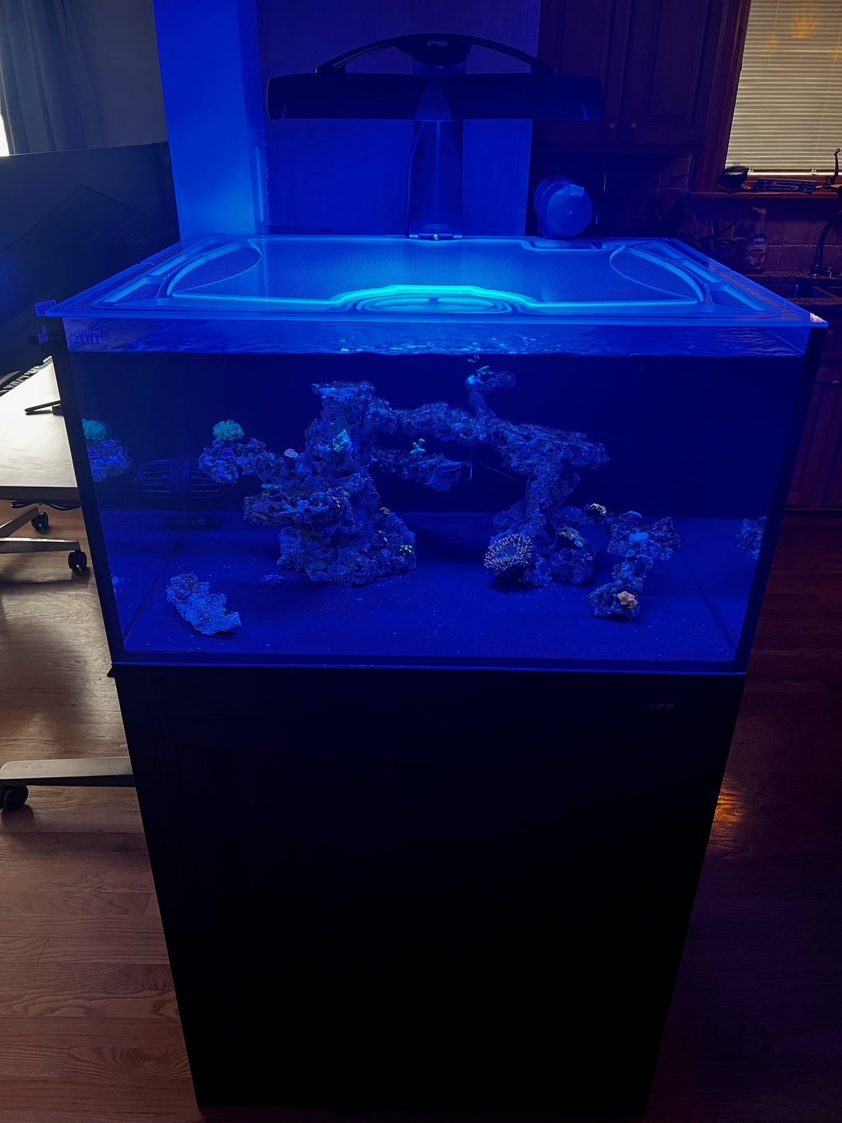 Innovative Marine NUVO 50 EXT Custom Polycarbonate Aquarium Screen Top Lid