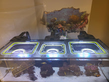 Load image into Gallery viewer, Waterbox Reef LX 330.7 / 340.7 Eurobrace 3-Opening Custom Polycarbonate Aquarium Screen Top Lid
