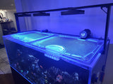 CADE Reef 1200 S2 Custom Polycarbonate Aquarium Screen Top Lid