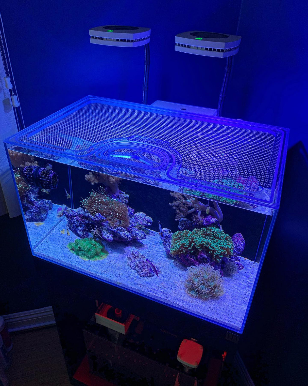 Ultum Nature Systems UNS AIO 60A Custom Polycarbonate Aquarium Screen Top Lid
