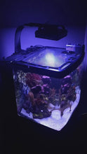 Load and play video in Gallery viewer, Coralife BioCube 29 Custom Polycarbonate Aquarium Screen Top Lid
