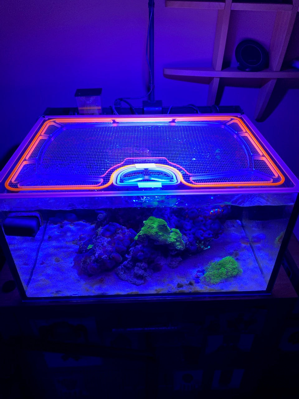 Innovative Marine NUVO 25 Lagoon Fusion Pro AIO Custom Polycarbonate Aquarium Screen Top Lid