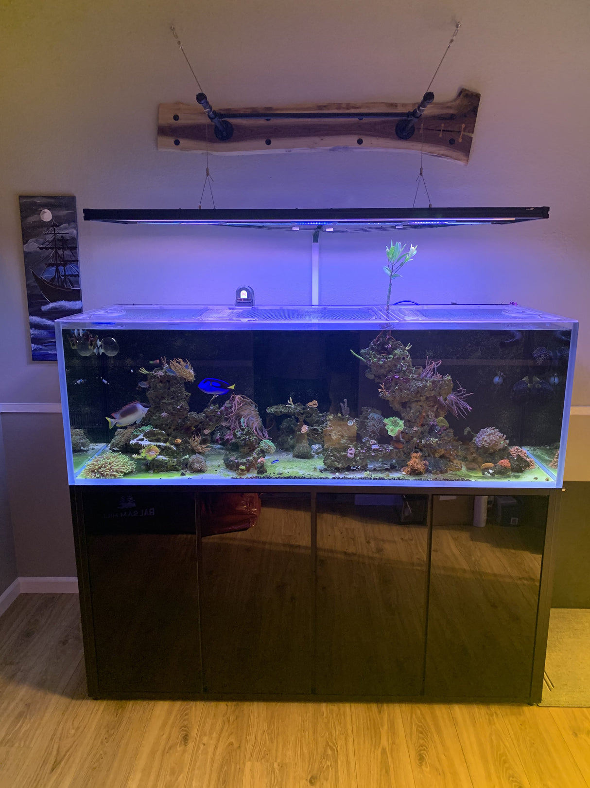 CADE Reef 1800 S2 Custom Polycarbonate Aquarium Screen Top Lid