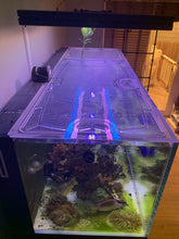 Load image into Gallery viewer, Auto Feeder Cutout for Neptune AFS with Food Guard (to Keep Food from Bouncing Out of Tank)
