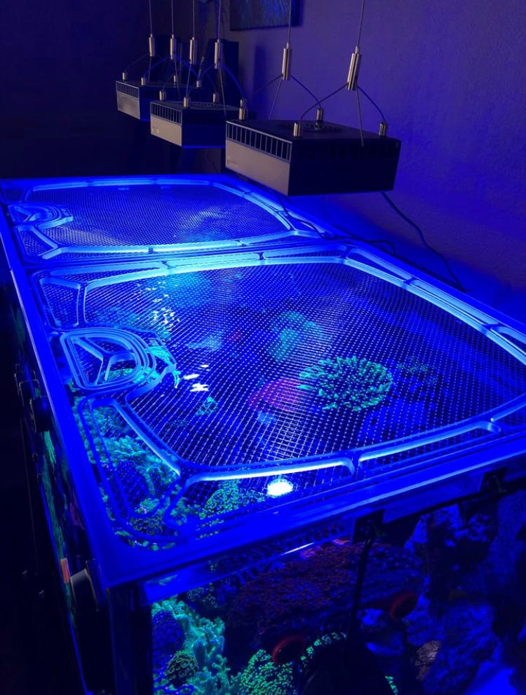 Top Lids Options Showcase - Custom, Screen Top, Single Frame CNC Precision-Cut Polycarbonate Aquarium Lids for Protecting Jumpers and Keeping Fish In-Tank