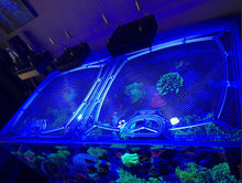 Load image into Gallery viewer, Top Lids Options Showcase - Custom, Screen Top, Single Frame CNC Precision-Cut Polycarbonate Aquarium Lids for Protecting Jumpers and Keeping Fish In-Tank
