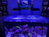 Pro Clear ProStar 90 Custom Polycarbonate Aquarium Screen Top Lid