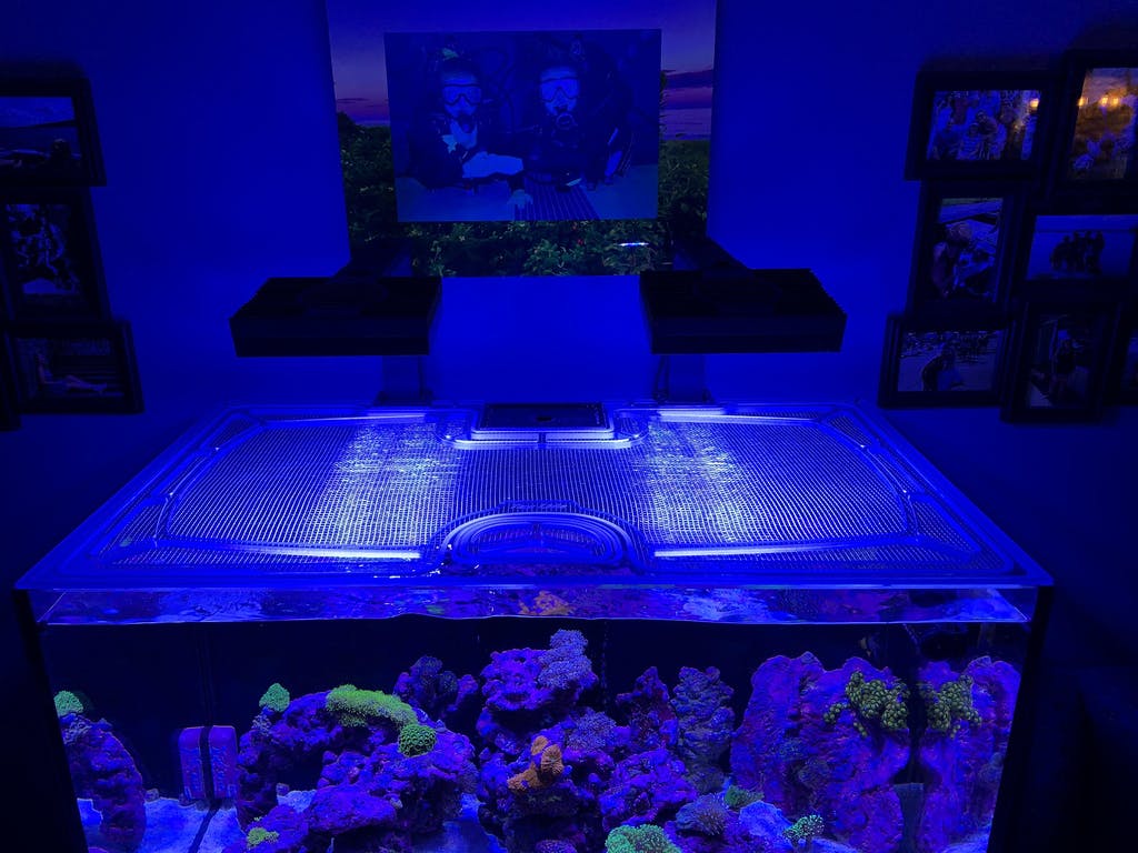 Pro Clear ProStar 90 Custom Polycarbonate Aquarium Screen Top Lid