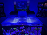 Pro Clear ProStar 90 Custom Polycarbonate Aquarium Screen Top Lid