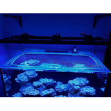 Innovative Marine NUVO 100 EXT Custom Polycarbonate Aquarium Screen Top Lid