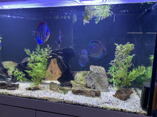 Load image into Gallery viewer, Pro Clear ProStar 150 Standard Overflow Custom Polycarbonate Aquarium Screen Top Lid
