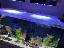 Load image into Gallery viewer, Pro Clear ProStar 150 Standard Overflow Custom Polycarbonate Aquarium Screen Top Lid
