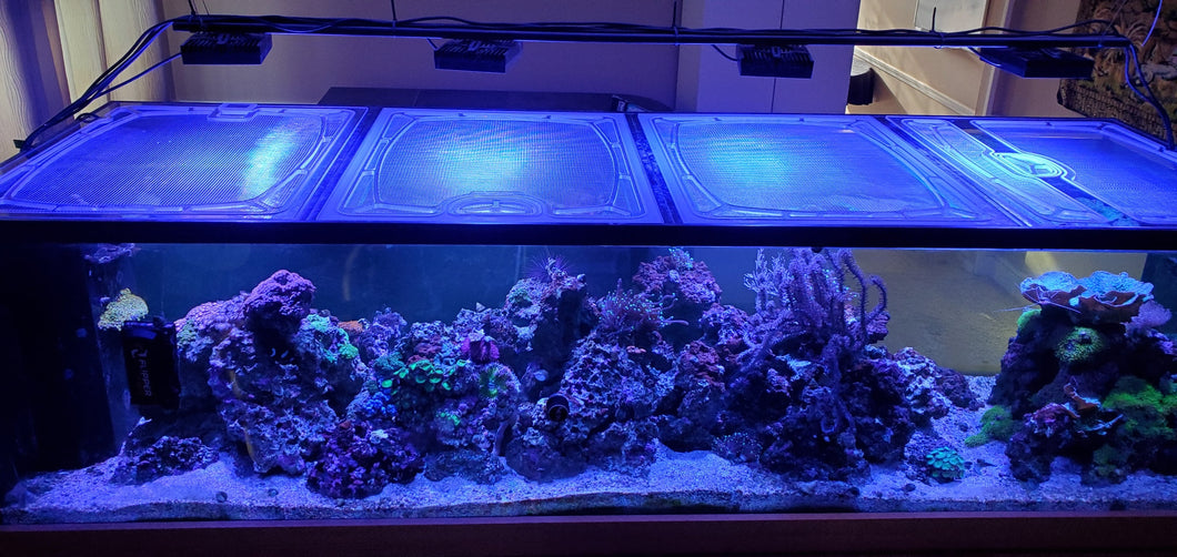 Planet Aquariums Mega Matrix Peninsula 240 Gallon 96”L x 24”W Custom Polycarbonate Aquarium Screen Top Lid