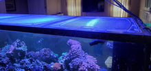 Load image into Gallery viewer, Planet Aquariums Mega Matrix Peninsula 175 Gallon 60”L x 24”W Custom Polycarbonate Aquarium Screen Top Lid
