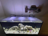 Waterbox Marine X 110.4 Custom Polycarbonate Screen Aquarium Top Lid