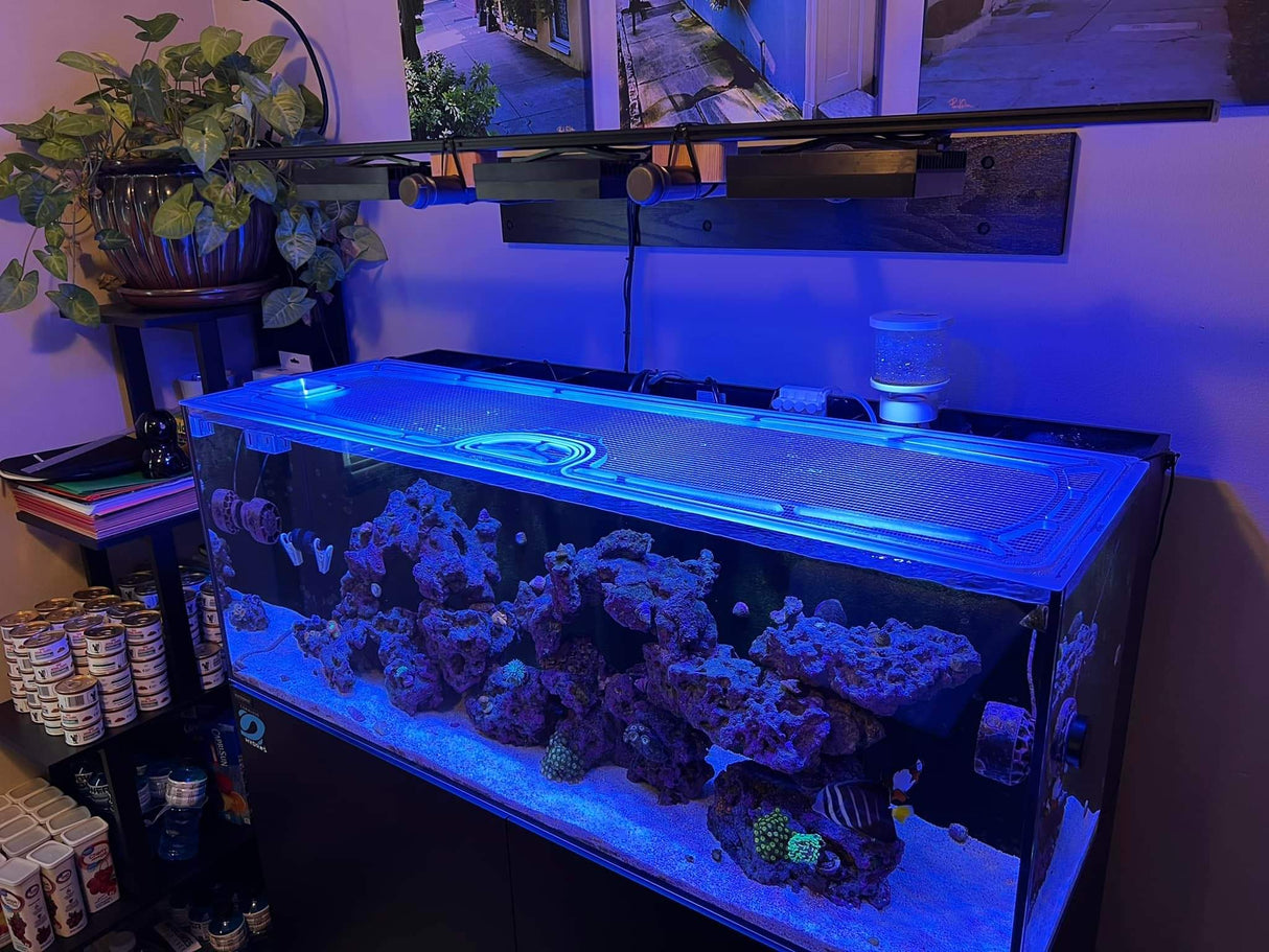 Waterbox AIO 65.4 Custom Polycarbonate  Aquarium Screen Top Lid