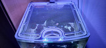 Load image into Gallery viewer, Coralife BioCube 32 Custom Polycarbonate Aquarium Screen Top Lid

