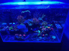 Load image into Gallery viewer, CADE Reef 900 S2 Custom Polycarbonate Aquarium Screen Top Lid
