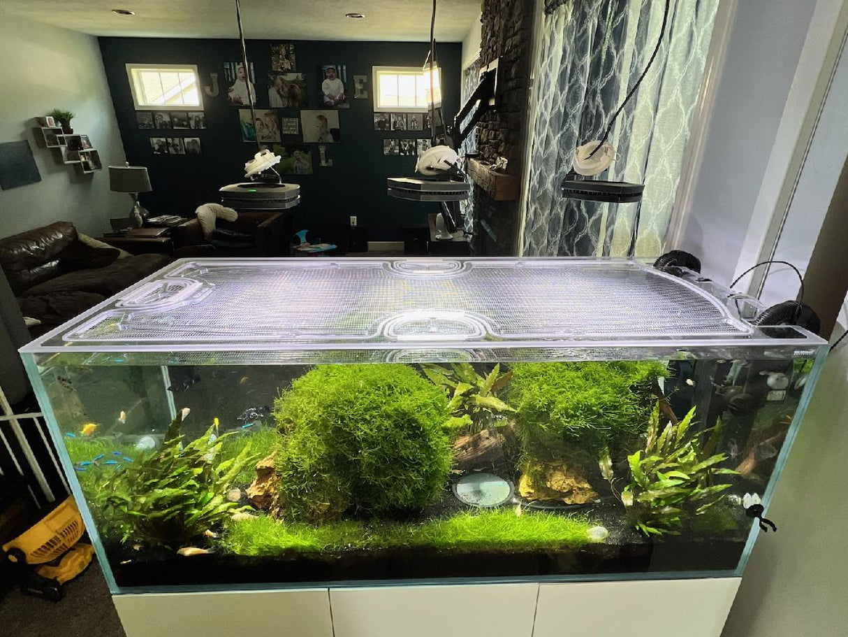 Waterbox Infinia Peninsula 4825 Custom Polycarbonate Aquarium Screen Top Lid