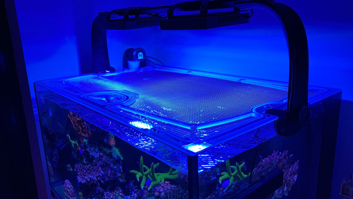 D-D Pro-Reef 600 Polycarbonate Screen Top Lid