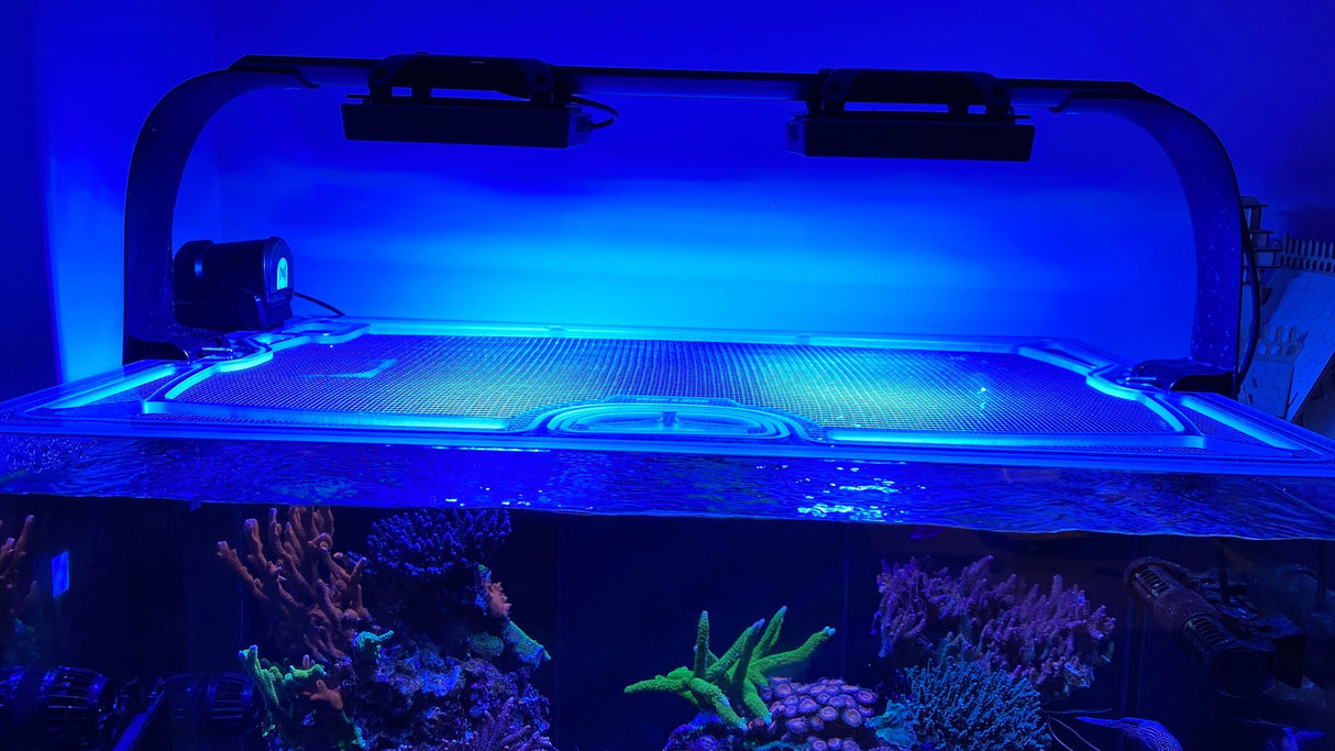 D-D Pro-Reef 1200 Polycarbonate Screen Top Lid