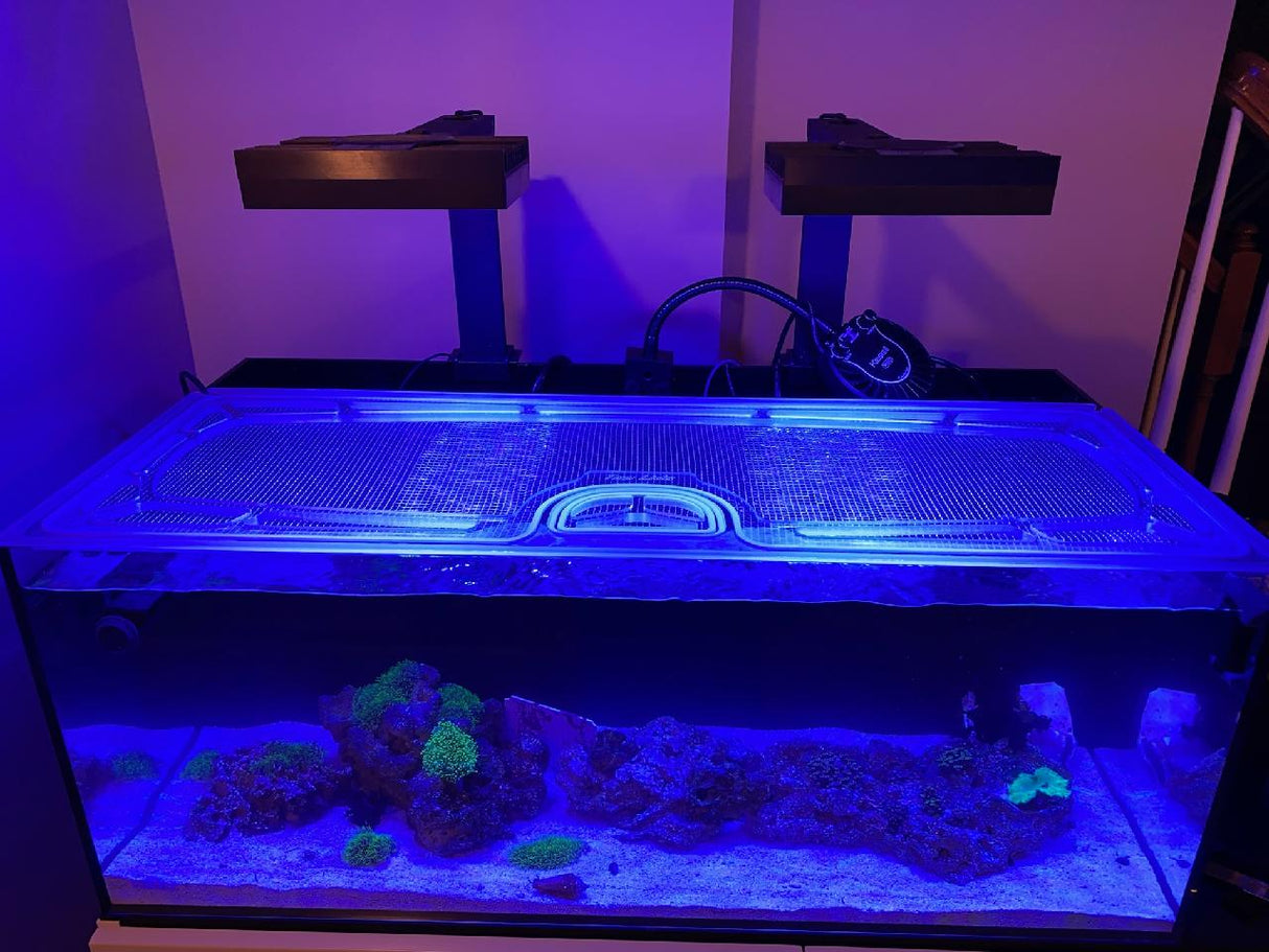 Cobalt C-Vue 50 Gallon Custom Polycarbonate Aquarium Screen Top Lid