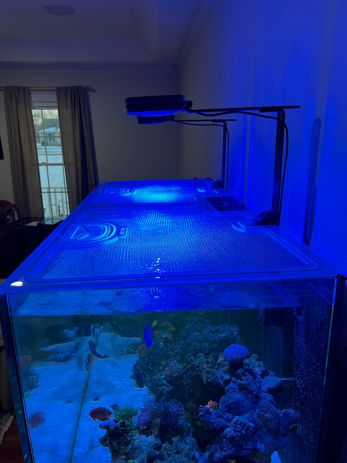 Waterbox Marine X 110.4 Custom Polycarbonate Screen Aquarium Top Lid