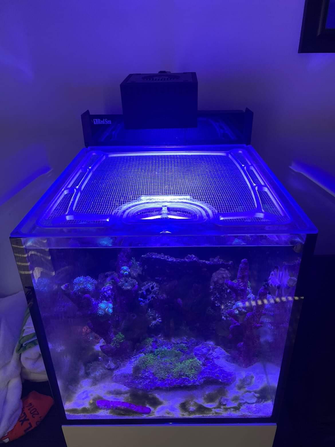 Red Sea Max Nano G2 Peninsula Custom Polycarbonate Aquarium Screen Top Lid