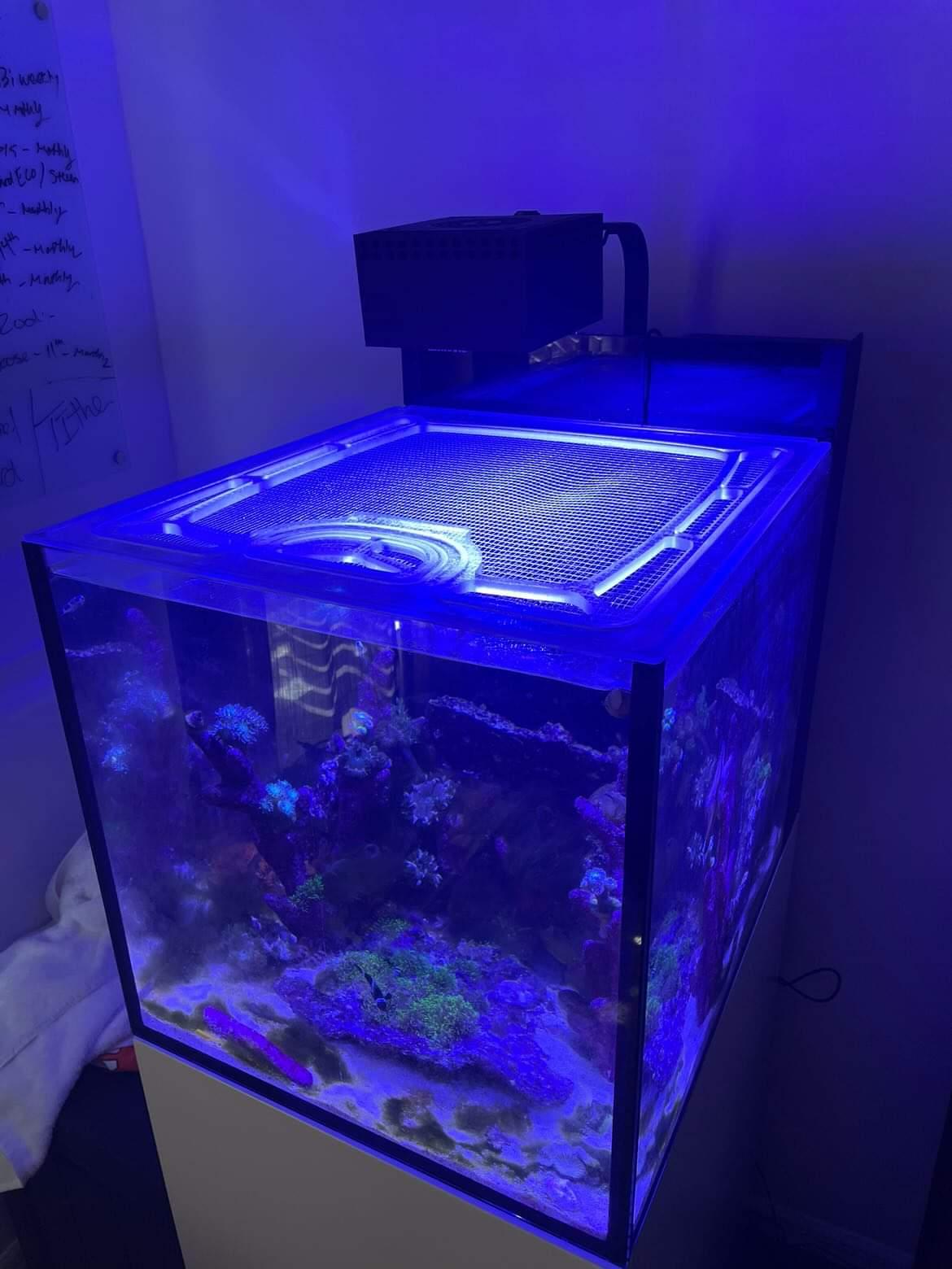 Red Sea Max Nano G2 Peninsula Custom Polycarbonate Aquarium Screen Top Lid