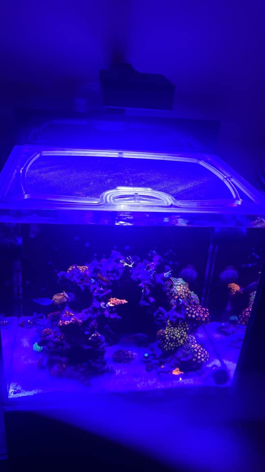 Red Sea Max-E 170 Custom Polycarbonate Aquarium Screen Top Lid