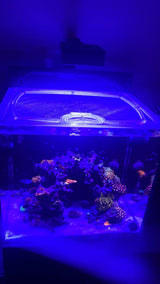 Red Sea Max-D 250 Custom Polycarbonate Aquarium Screen Top Lid