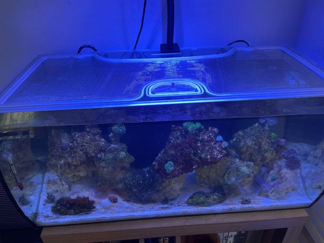 Fluval Evo 5 Polycarbonate Aquarium Screen Top Lid