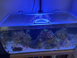 Fluval Flex 32.5G / 123L Custom Polycarbonate Aquarium Screen Top Lid