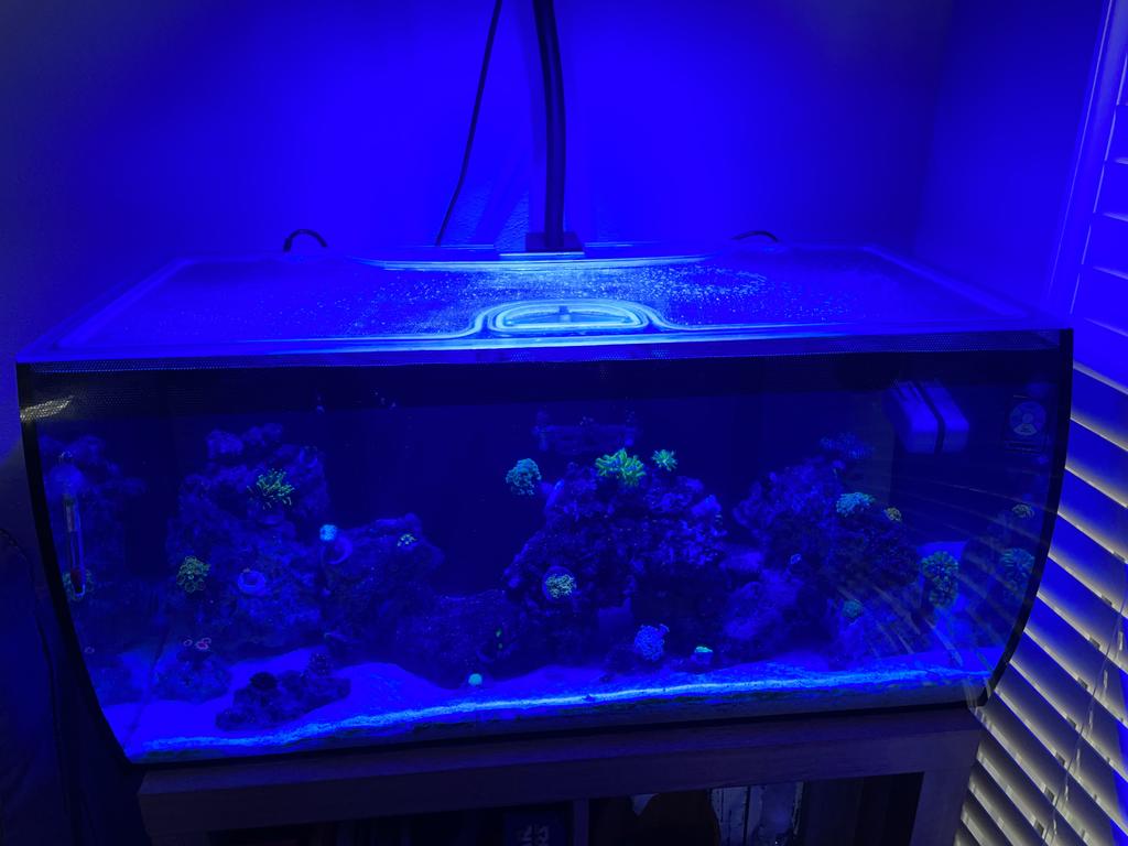 Fluval M90 Polycarbonate Aquarium Screen Top Lid