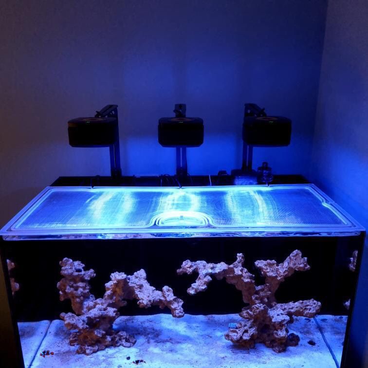 Waterbox AIO 50.3 Custom Polycarbonate Aquarium Screen Top Lid