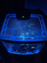 Load image into Gallery viewer, Oceanic BioCube 29 Custom Polycarbonate Aquarium Screen Top Lid
