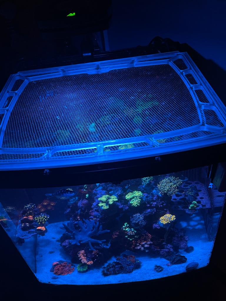 Coralife BioCube 16 Custom Polycarbonate Aquarium Screen Top Lid