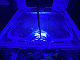 Marineland 93 Gallon Rimless Corner Overflow Custom Polycarbonate Aquarium Screen Top Lid
