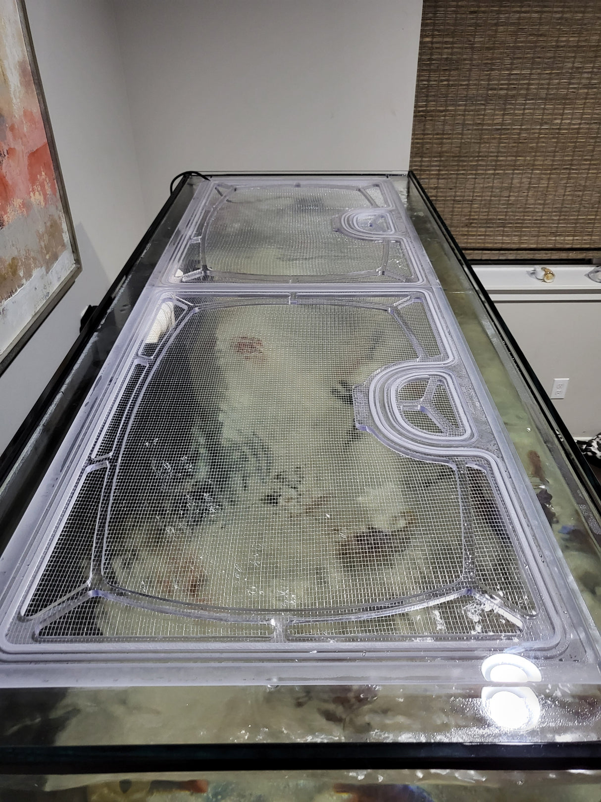 SCA 180 Gallon Long 72 x 24" Polycarbonate Screen Top Lid