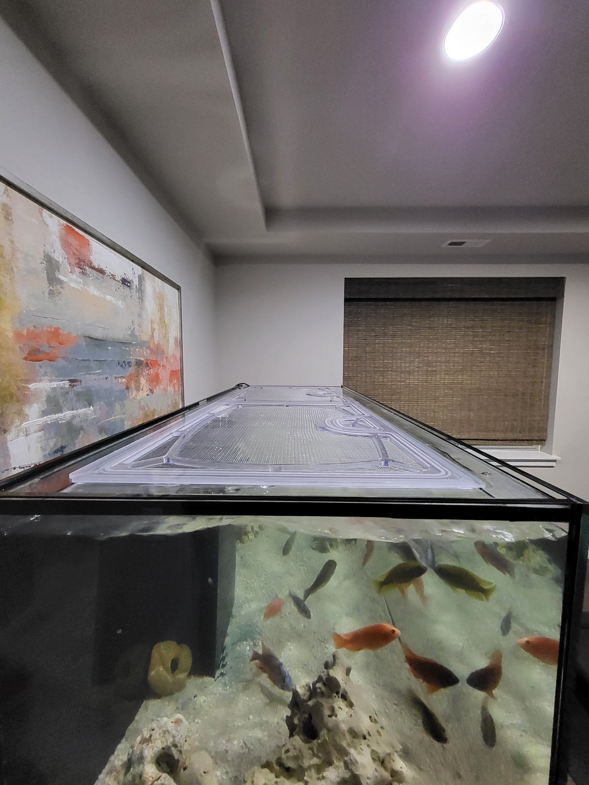 SCA 85 Gallon Starfire 60 x 18" Polycarbonate Screen Top Lid