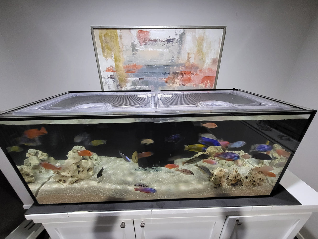 SCA 150 Gallon Starfire 60 x 24" Peninsula Overflow Custom Polycarbonate Aquarium Screen Top Lid
