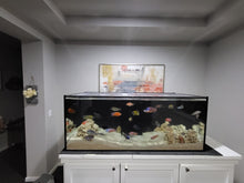 Load image into Gallery viewer, SCA 125 Gallon Starfire 60 x 24&quot; Center Overflow Custom Polycarbonate Aquarium Screen Top Lid

