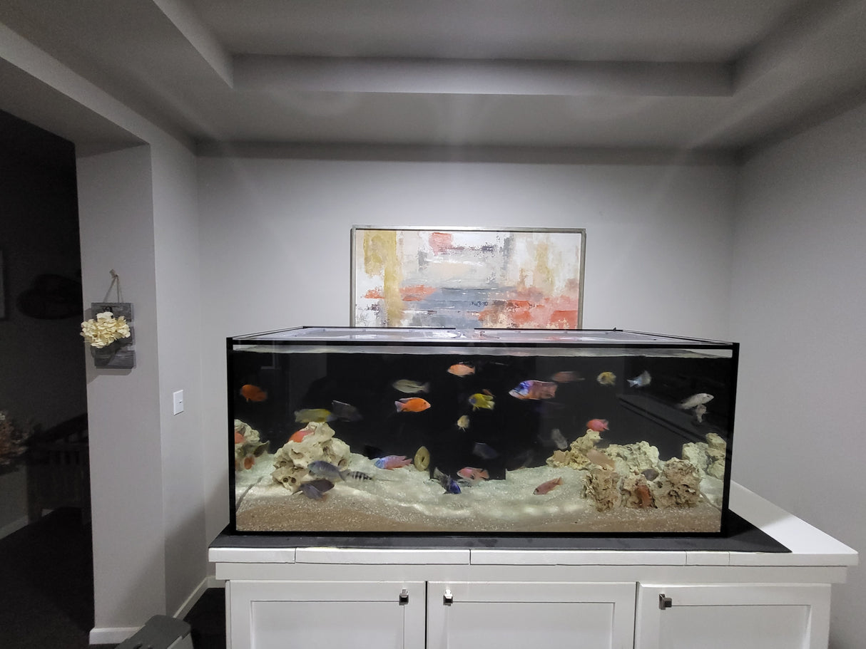 SCA 210 Gallon Starfire 72 x 24" Custom Polycarbonate Aquarium Screen Top Lid