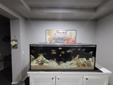 SCA 210 Gallon Starfire 72 x 24" Custom Polycarbonate Aquarium Screen Top Lid