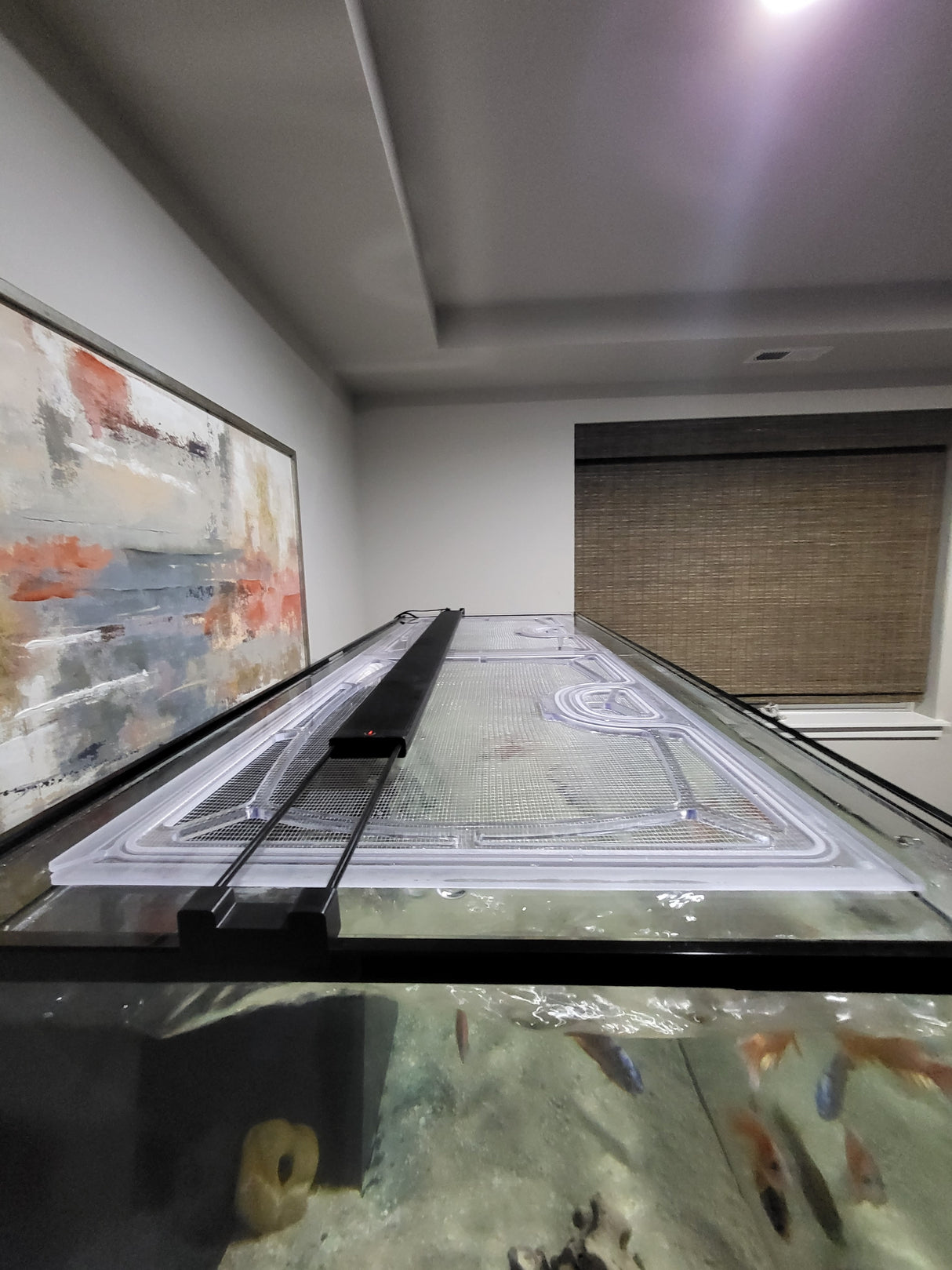 SCA 150 Gallon Starfire 60 x 24" Peninsula Overflow Custom Polycarbonate Aquarium Screen Top Lid
