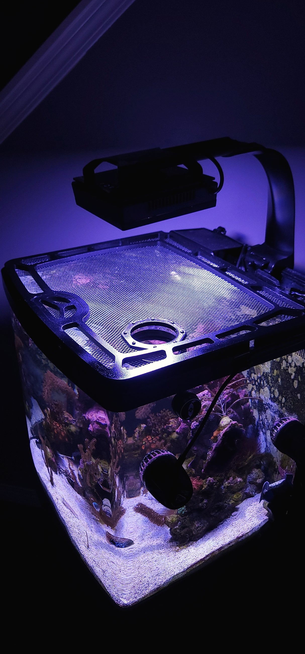 Coralife BioCube 32 Custom Polycarbonate Aquarium Screen Top Lid