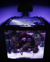 Load image into Gallery viewer, Eshopps DeskMate 4.8 Gallon AIO Custom Polycarbonate Aquarium Screen Top Lid
