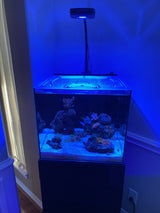 Waterbox Cube 20 Custom Polycarbonate Aquarium Screen Top Lid